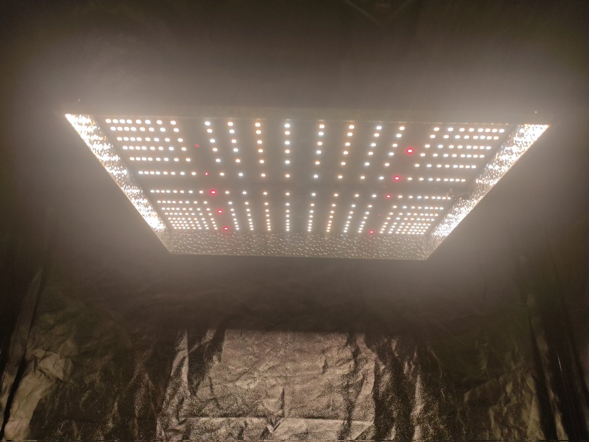 Nashtorn tweet media