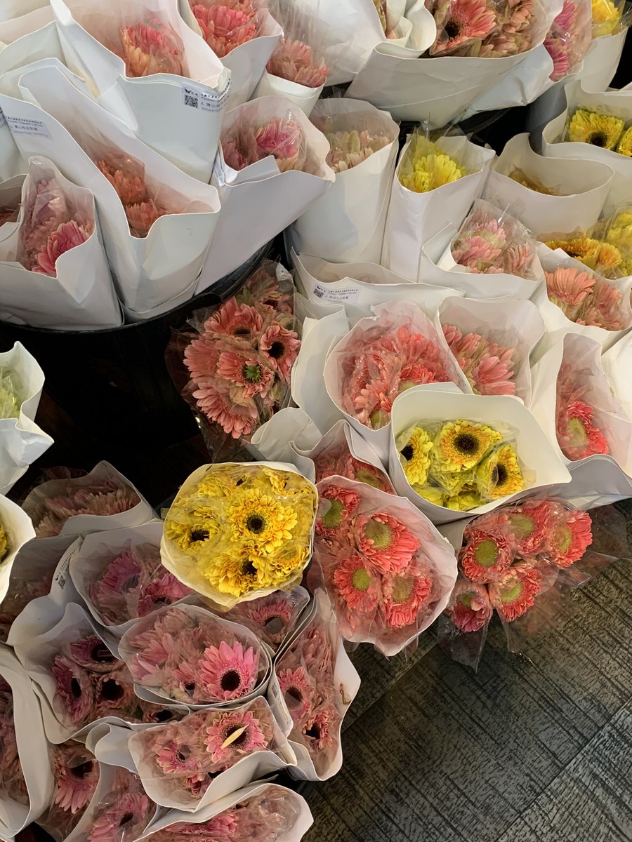 idontwnb's tweet photo. falling in love with flower 💐 https://t.co/6FZ53hSfej
