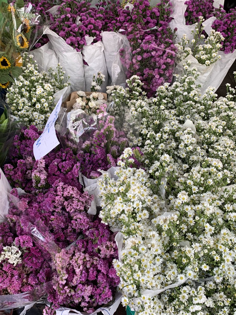 idontwnb's tweet photo. falling in love with flower 💐 https://t.co/6FZ53hSfej