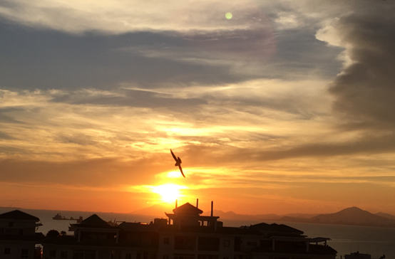 Thousands of miles to meet, strangers to meet. Holding a smile, elegant style of a poem, different fleeting Feifen.