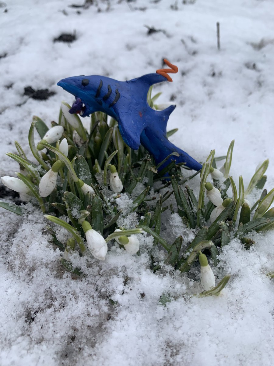 LSreberko's tweet image. Always first #ZunamiProtokol, #ZEN, @ZunamiProtocol