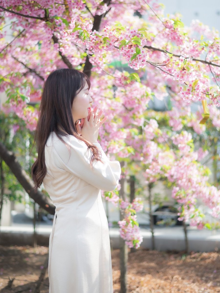 mi_ca224's tweet photo. 桜綺麗だった～🌸📷🫶
桜神宮可愛いすぎた🌸🥰
また撮ってもらおう🥳

@ai_photograph https://t.co/BdoNcZzIo9