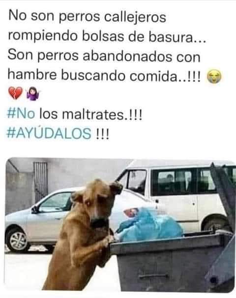 ImProAnimal's tweet photo. Por favor 🙏 https://t.co/8rpsKykkgr