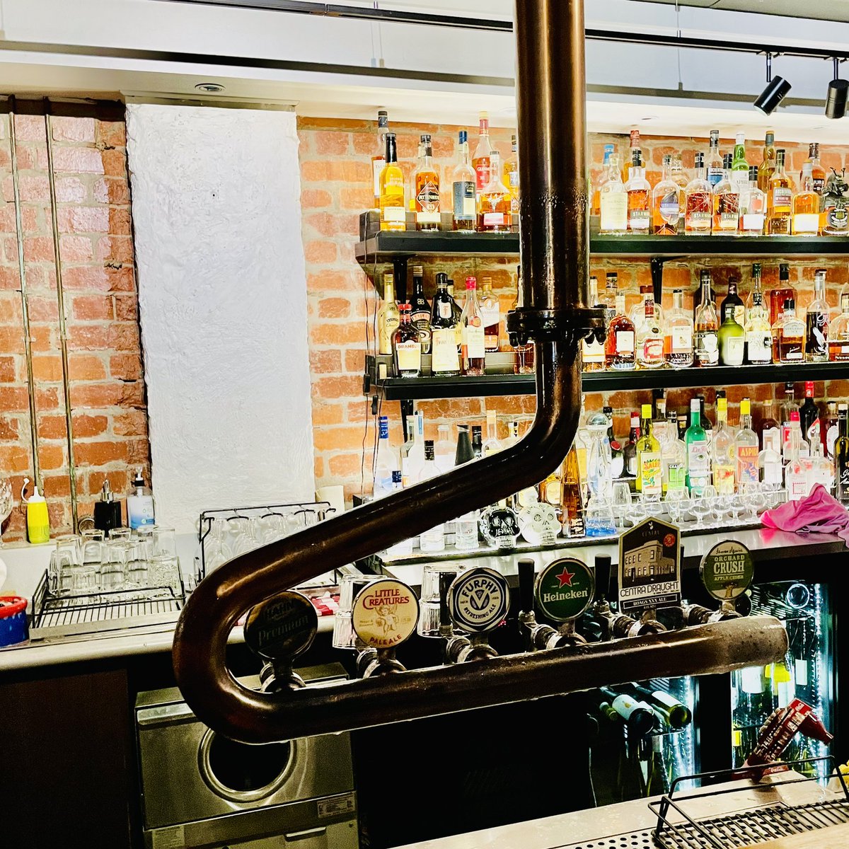 Matt Gibbs tweet media