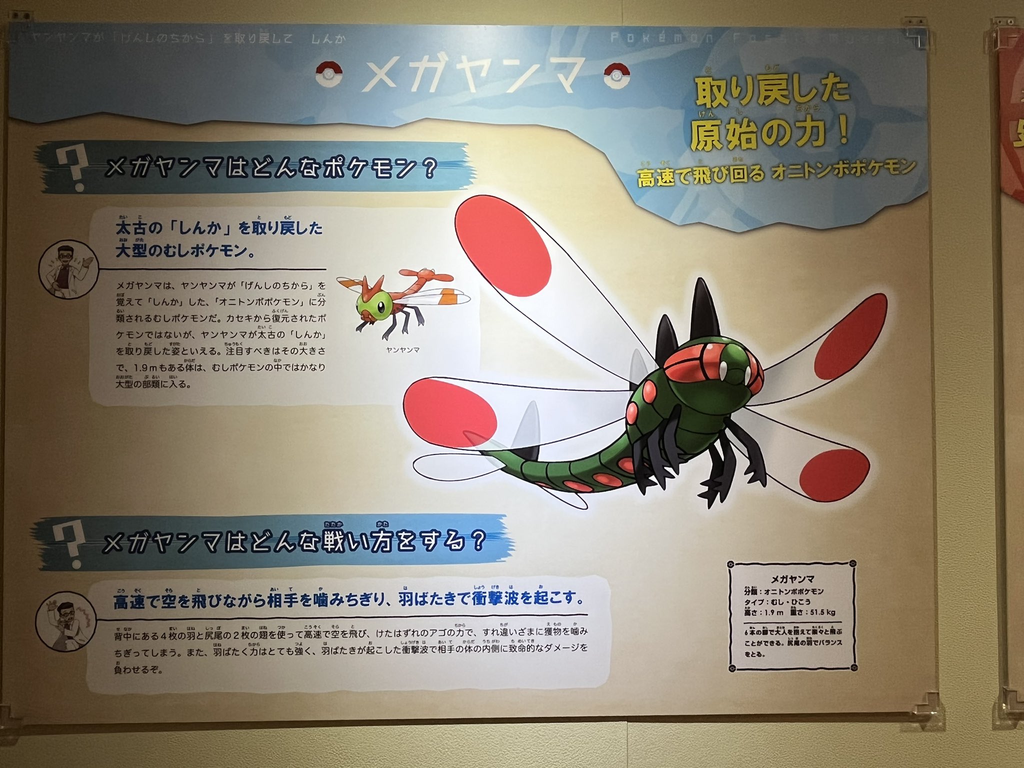 キンケツゥ・ナウ on X: 