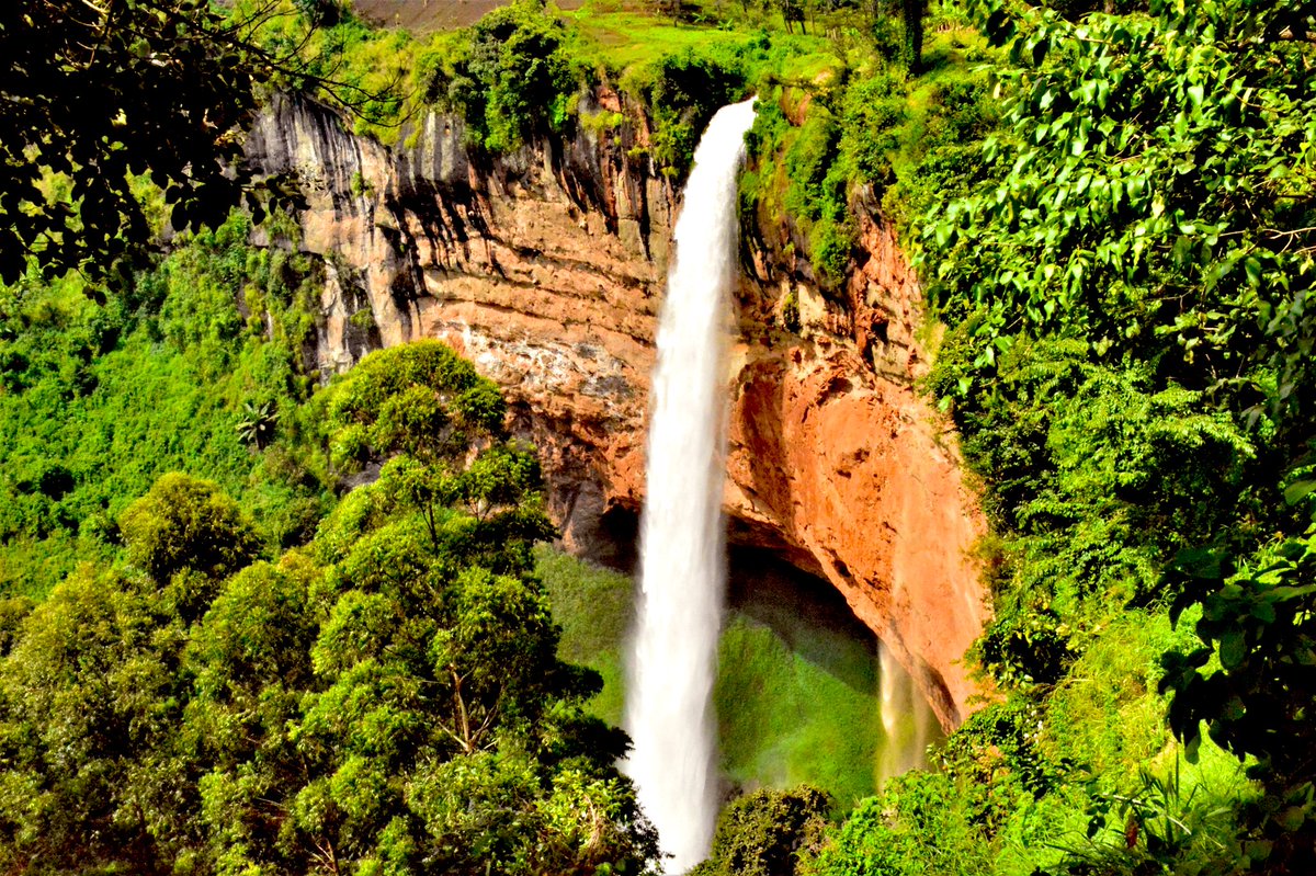 UgandaWaka's tweet photo. The name sipi was derived from the word ‘sep’ which is a name of a wild banana-like indigenous plant that grows along the banks of the Sipi River.Resembling a type of wild banana, Sep has a translucent green frond with a bolt of crimson rib.

📍 SipiFalls,UGANDA
#ExploreUganda https://t.co/0lLaWgFTtl