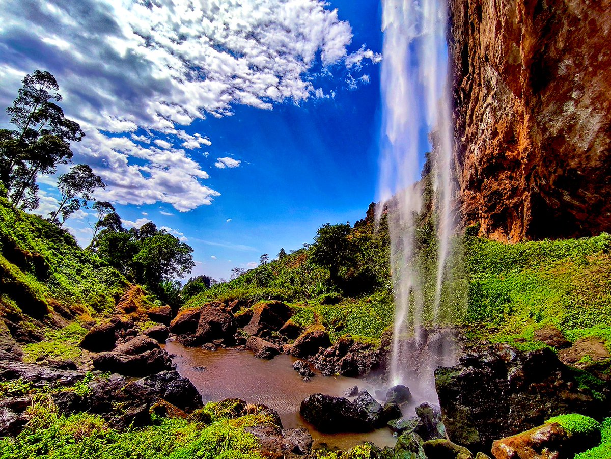 UgandaWaka's tweet photo. The name sipi was derived from the word ‘sep’ which is a name of a wild banana-like indigenous plant that grows along the banks of the Sipi River.Resembling a type of wild banana, Sep has a translucent green frond with a bolt of crimson rib.

📍 SipiFalls,UGANDA
#ExploreUganda https://t.co/0lLaWgFTtl
