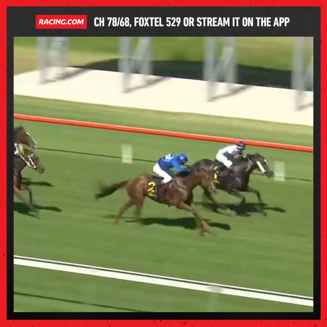 Racing SA on Twitter "RT Racing It came to two but Lake's Folly made