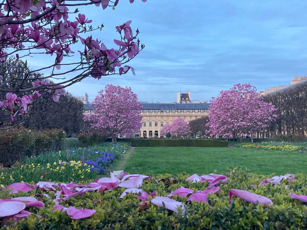 ParisArtDeVivre's tweet photo. A huge #thankyou to @BFleurot for her gorgeous #photo of #magnolias in the gardens of #PalaisRoyal 🌿🌳🌸🌳🌿
I have sold incredible homes overlooking the #JardinDuPalaisRoyal - a precious location right by the @ComedieFr and @MuseeLouvre
#Paris #Parisjetaime #ParisInTheSpring https://t.co/sEqimo90d7