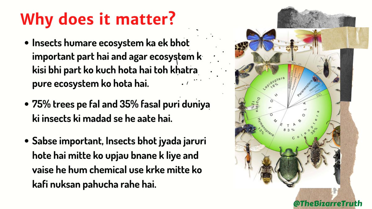 TheBizarreTruth's tweet photo. #nature bhi ek Kamal ki cheez hai, Humare is ecosystem m ek chote se keede se leke ek bade hathi tak sab equally important hai. There is no #Discrimination in Nature. 

Mother of all causes is #climate change. 
#saveinsects #SaveSoil #saveearth #savelife https://t.co/E9CZnwC15K
