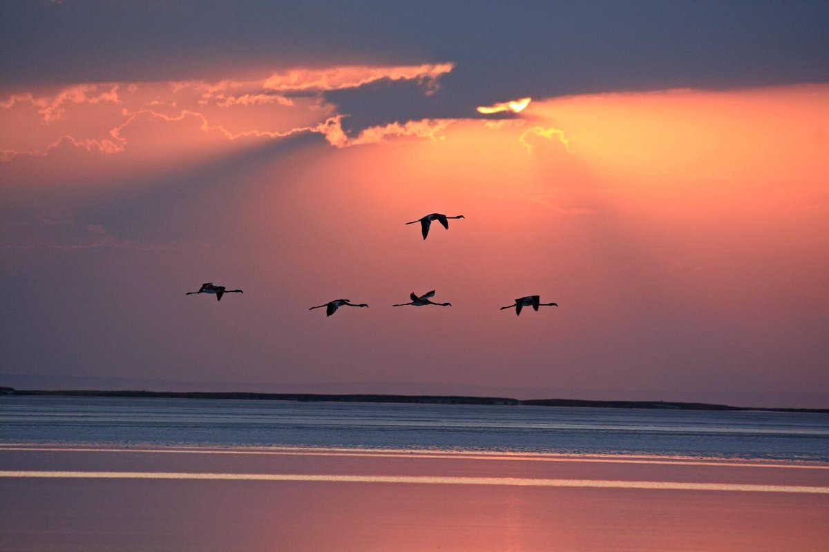 Burası A K S A R A Y 😎

Tüm hemşehrilerime güzel bir gün diliyorum.🙋‍♂️

#HayırlıSabahlar
#Günaydın