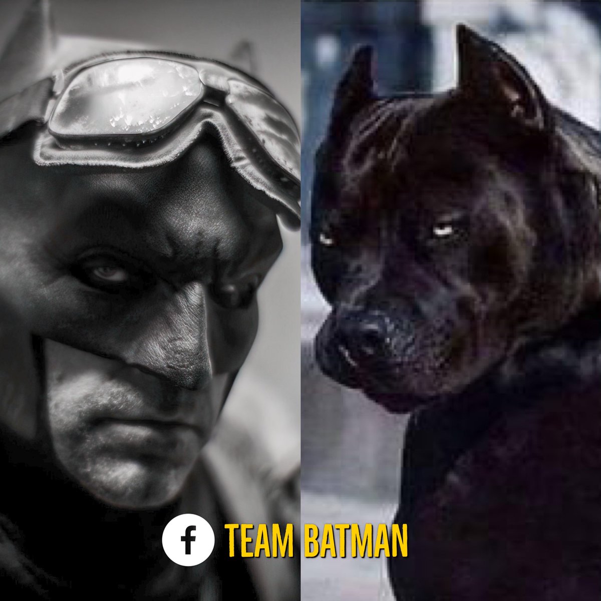 ReneBaldo's tweet photo. Antes de que acabe este gran día.
SAME VIBES! #RestoreTheSnyderVerse @hbomax @wbpictures https://t.co/4mXixzWT64