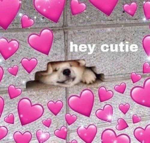 i do #openfollow for west only. let’s be fwends! 😃