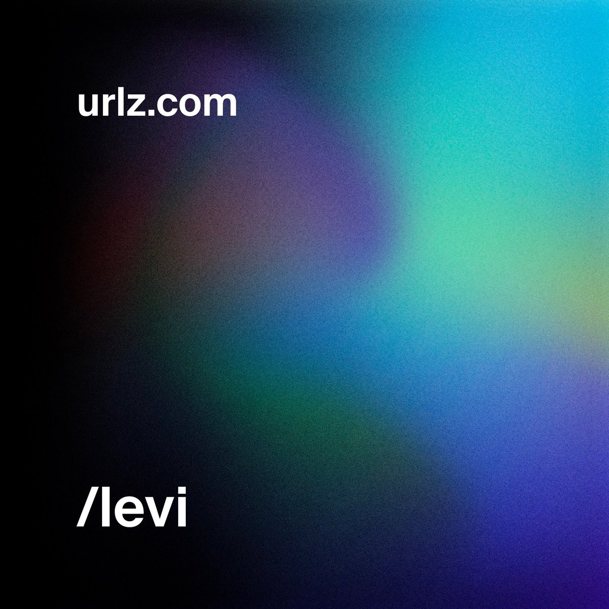 I can't remember the last time I've been this excited about an NFT project.

<a href="/DannPetty/">DANN©</a> and <a href="/markbucknell/">Mark</a> are doing great things with <a href="/urlznft/">urlz.com</a>—immediate + apparent utility on the blockchain.

The future of the web on the blockchain is much clearer now! ❤️

urlz.com/levi