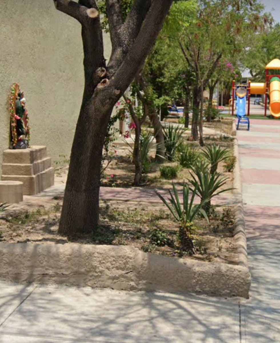 perbelise31's tweet photo. Me llamo Perla Lira y soy estudiante de la escuela Miguel F. Martínez  y en la.materia de Estudio de la Naturaleza y el Medio Ambiente que llevamos con la maestra Cyomara Inurrigarro Guillén, llevo a cabo un proyecto de milpa en la Parroquia María Reina de la Paz. https://t.co/Nqja6v0szb
