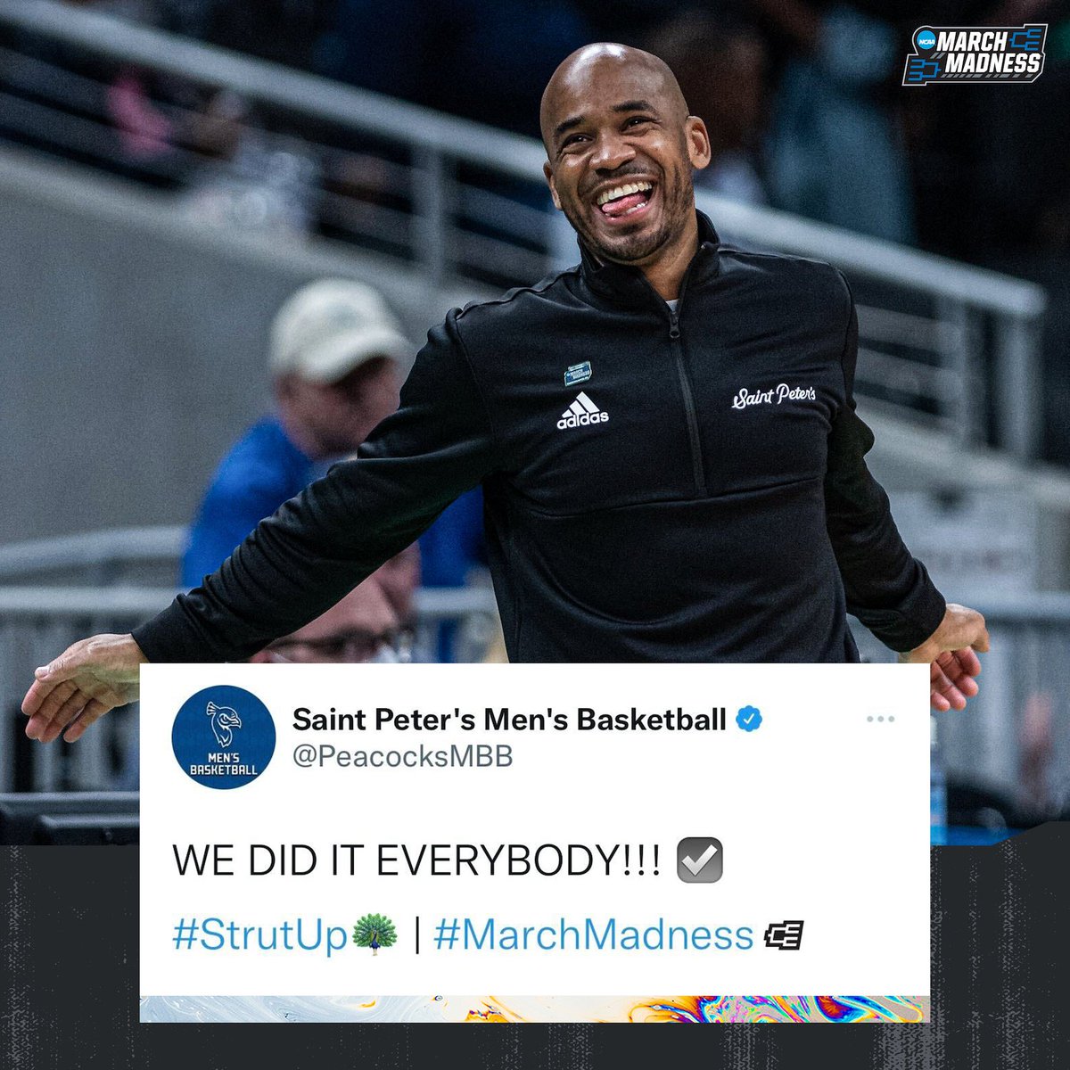 MarchMadnessMBB's tweet photo. We love a good underdog story 🤣 @PeacocksMBB 

#StrutUp | #MarchMadness https://t.co/stWbqJokkQ