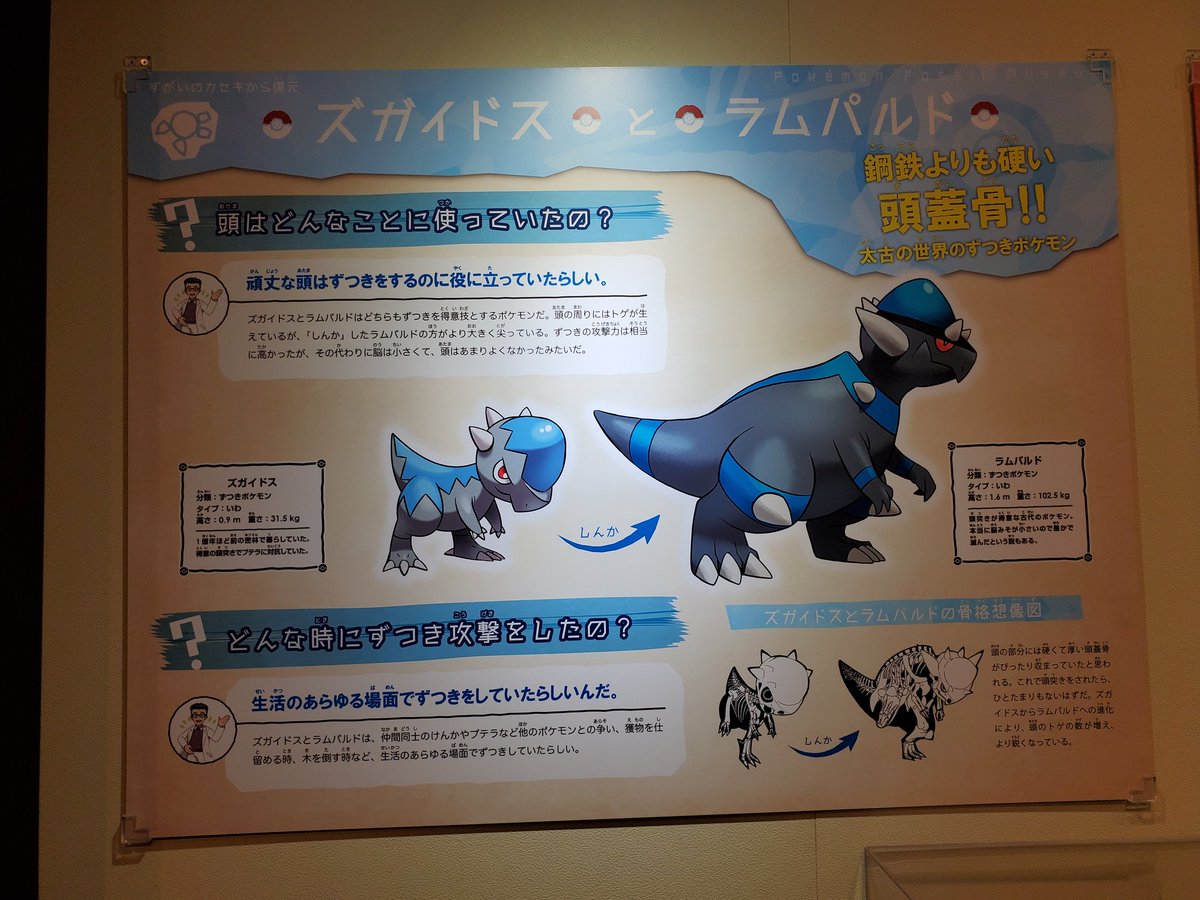 تويتر ひーよ على تويتر ポケモン化石博物館 古生物学を化石ポケモンで学ぶ めっちゃ面白い展示 しんか と 進化 は全然違うんですよ ポケモン化石博物館 T Co 87qgunavp9