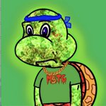 Photo by Mutant Alpha Turtle Gang (@mutantATG)