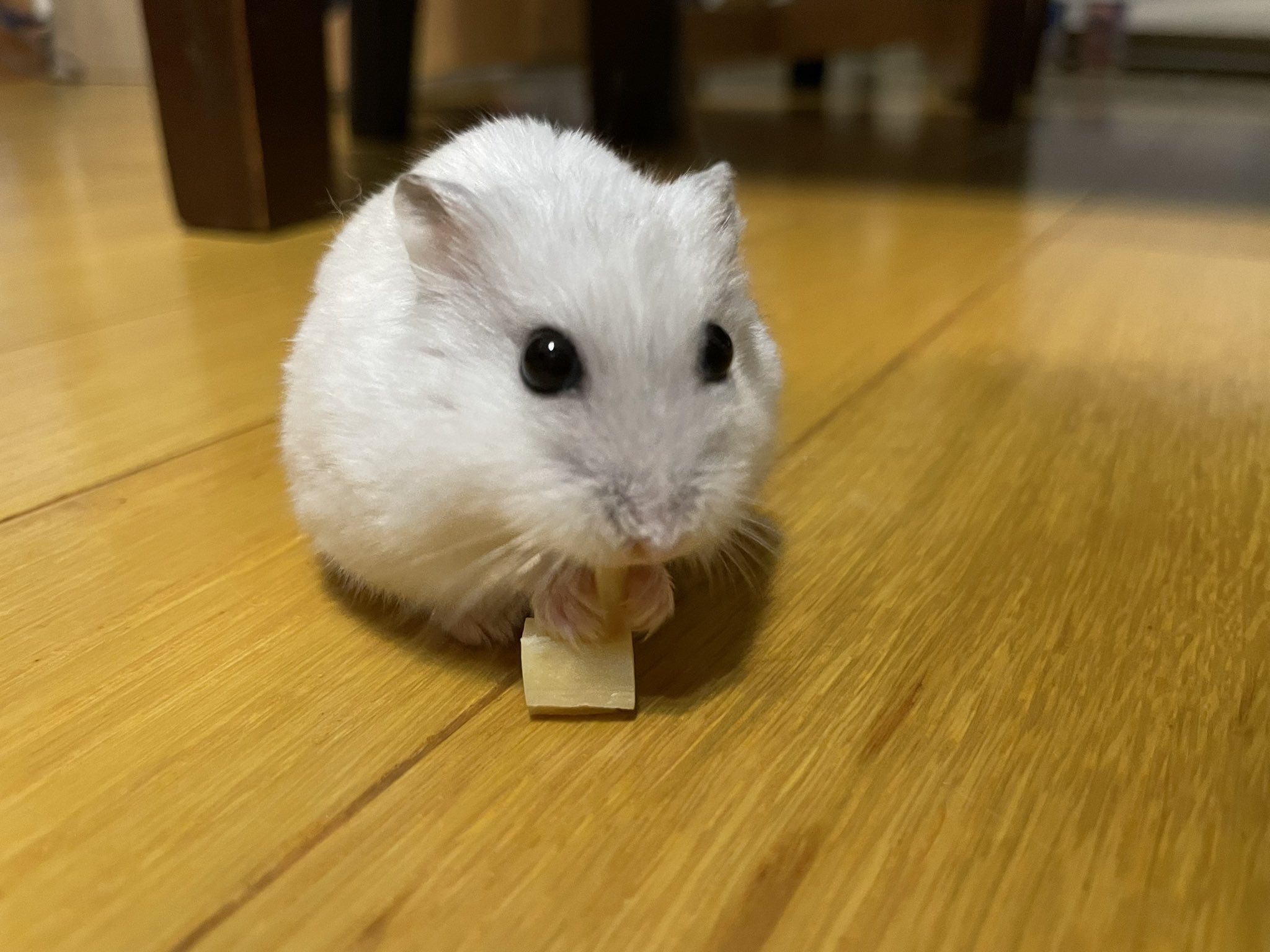 もちおz Mo Chiiiiiii Twitter