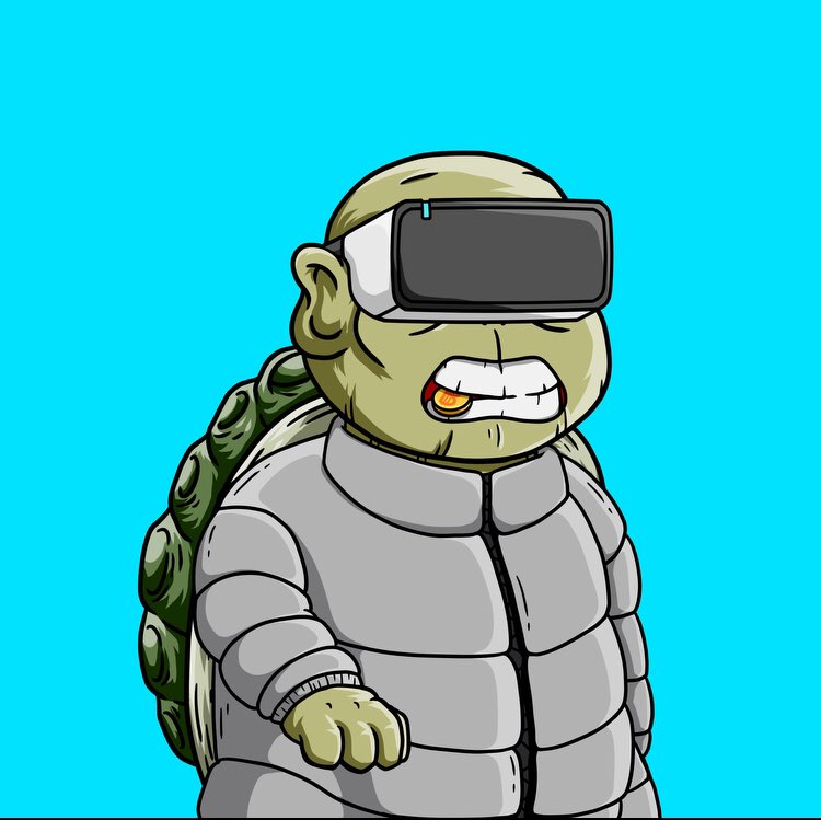 Turtle Friends tweet media