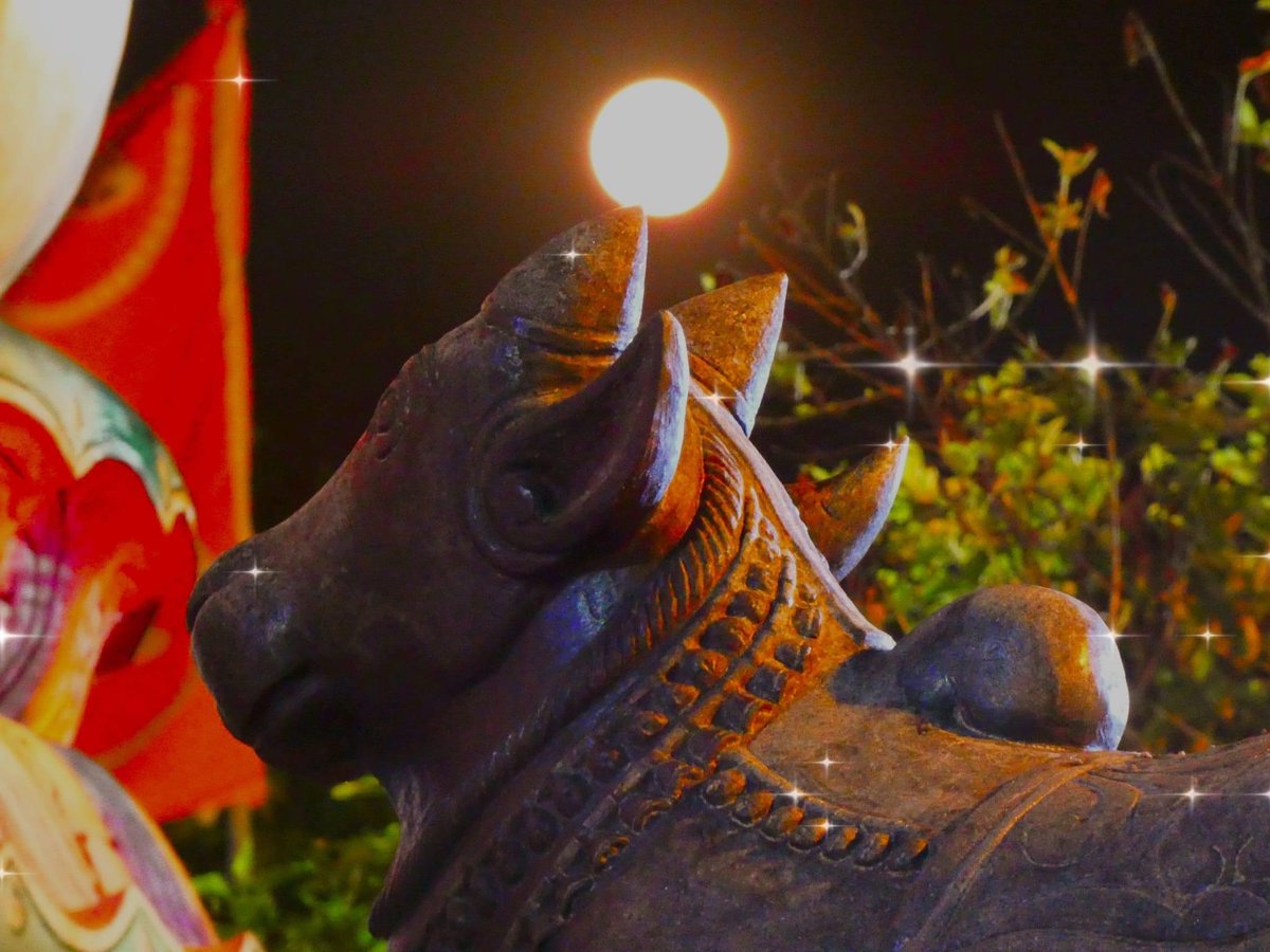 Koneswaram's tweet photo. #koneswaram #trico #trincomalee https://t.co/Kyr7TK9ueS