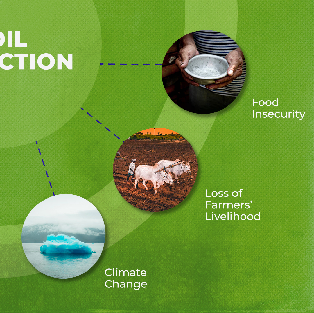 cpsavesoil's tweet photo. From food insecurity and biodiversity loss to Climate Change, soil extinction has far-reaching consequences. It's time we come together and #SaveSoil from going extinct while we still have the chance.
Action Now. https://t.co/z6MmqMf5nE
#ConsciousPlanet https://t.co/c5wMcEjkD8