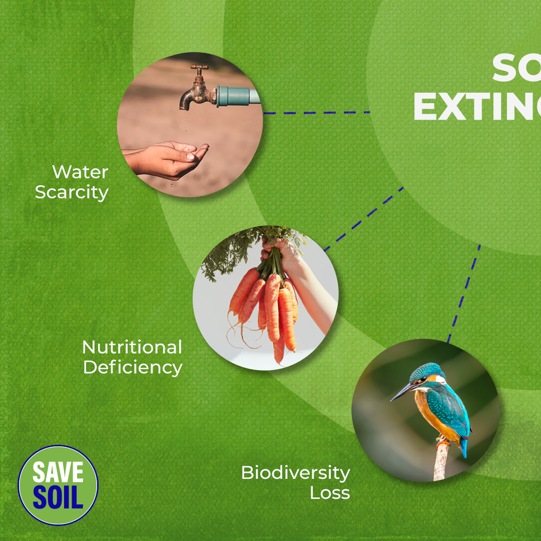 cpsavesoil's tweet photo. From food insecurity and biodiversity loss to Climate Change, soil extinction has far-reaching consequences. It's time we come together and #SaveSoil from going extinct while we still have the chance.
Action Now. https://t.co/z6MmqMf5nE
#ConsciousPlanet https://t.co/c5wMcEjkD8