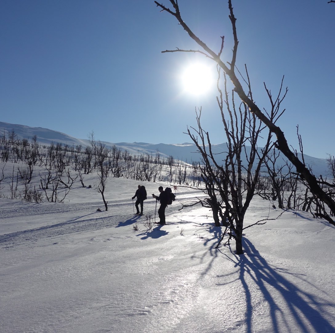 paulboslooper's tweet photo. Foto’s Zweden 🇸🇪 Abisko winter ❄️ hike, 10 dagen geen 📱😃, 10 dagen genieten van heel veel sneeuw, heel veel zon, soms heel veel wind en het noorderlicht. 

https://t.co/bRRJIYR50Q

#hike #snowshoeing #zweden #abisko #winter https://t.co/jLDXPatGvc