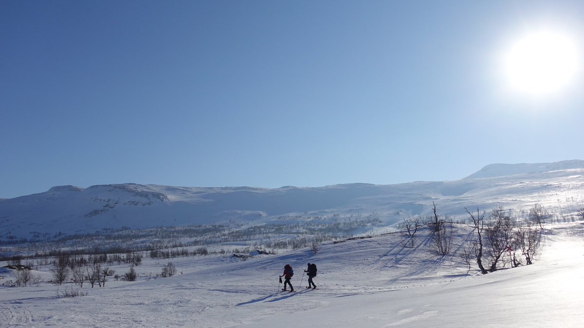 paulboslooper's tweet photo. Foto’s Zweden 🇸🇪 Abisko winter ❄️ hike, 10 dagen geen 📱😃, 10 dagen genieten van heel veel sneeuw, heel veel zon, soms heel veel wind en het noorderlicht. 

https://t.co/bRRJIYR50Q

#hike #snowshoeing #zweden #abisko #winter https://t.co/jLDXPatGvc