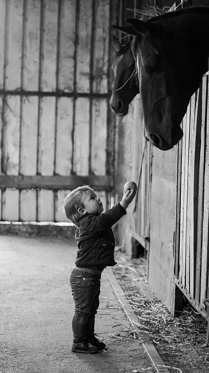 KalantariKobra's tweet photo. We cannot despair of humanity, since we ourselves are human beings.
#Self_Knowledge
#GoodMod https://t.co/QCCNfnZjCz