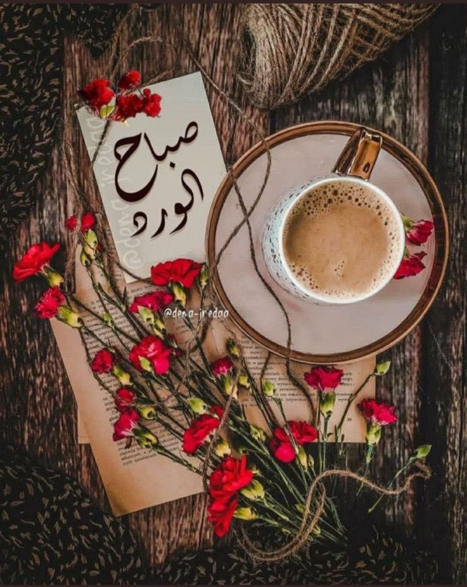 SALEM_MD1's tweet image. #الرسائل_الصباحية تعني أنني حين استيقظت ذكرت من أحب فالحمد لله الذي وهبني أحباب أصبّح عليهم واذكرهم كل صباح
قالوا كـــيف إلتقيتم؟
قلت :الله جمعنا بـــلا ميعاد
قالوا كيف تـــآلفتم؟
قلت :الله ألف بيننا دون اجتهاد..
قالوا و ماغاية حـــبكم؟
قـلت ظل آلرحمن يوم آلتنآد.
🍃🔆