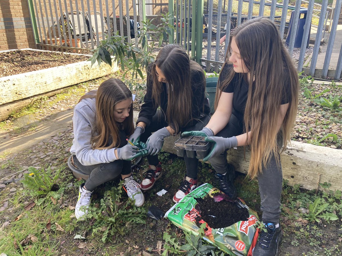 The best time in the allotment for Comic Relief. Students had tutorials on Growing Their Own and took home some fabulous hints&amp;tips to make growing easy and cheap at home. Plus, the ☀️ was out <a href="/Elloweshallspo1/">Ellowes Hall Sports College</a> @MrsL_Ellowes