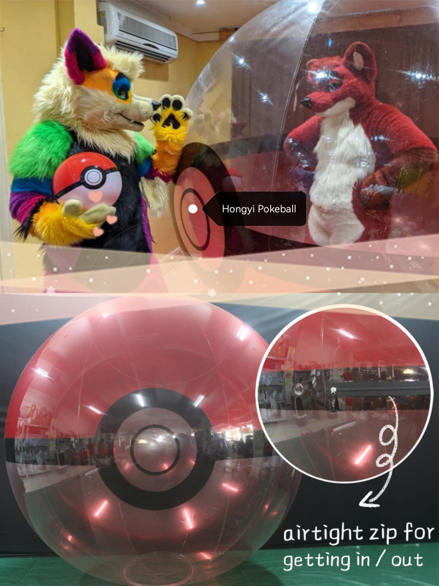 Kristalyn_Wu's tweet photo. Giant #Pokeball is ready for #squeakysaturday 
📩 hongyi07@foxmail.com
More details:https://t.co/Ks1u7ETspq

#pokemon #inflatablebeachball #bondage #waterball #pooltoy https://t.co/ECMn8wDq9C