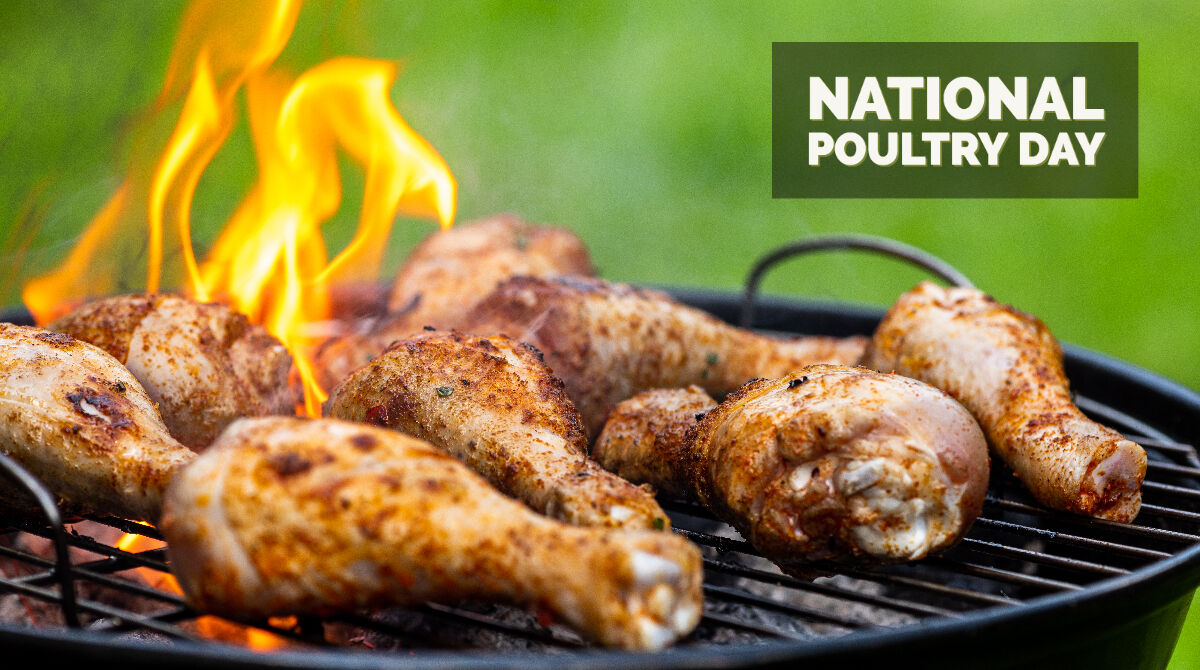 smokeyolivewood's tweet photo. 🥳🍗 𝟭𝟵𝘁𝗵 𝗢𝗙 𝗠𝗔𝗥𝗖𝗛, 𝗛𝗔𝗣𝗣𝗬 𝗡𝗔𝗧𝗜𝗢𝗡𝗔𝗟 𝗣𝗢𝗨𝗟𝗧𝗥𝗬 𝗗𝗔𝗬! 🍗 🥳
Today is National poultry day, Ever tried to smoke drumsticks with lemonwood?
https://t.co/7tV9RnH98K
#smokeyolivewood #smoke #NationalPoultryDay #LemonWood https://t.co/ioTKnAznjM