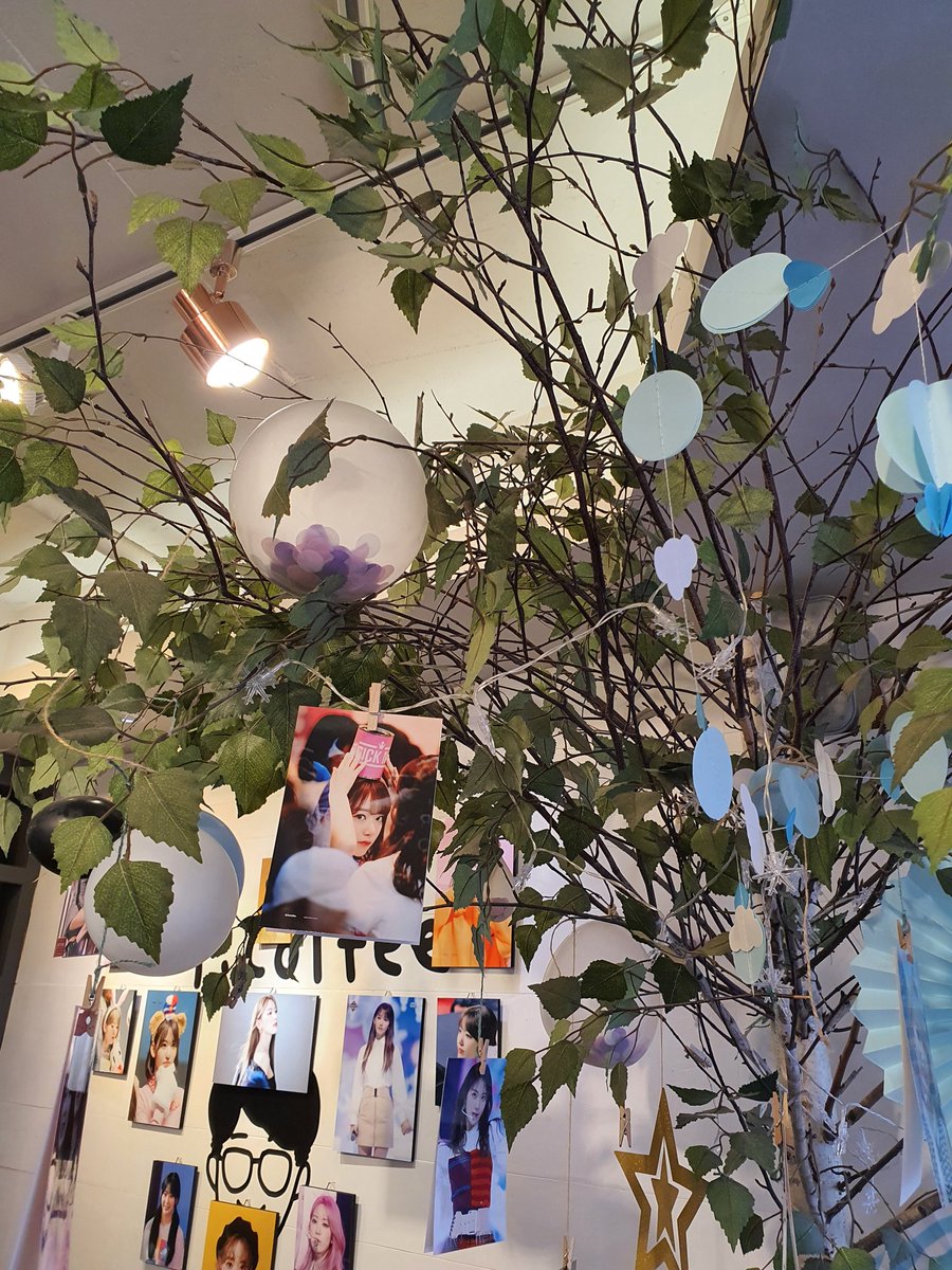 alwaysDouze12's tweet photo. #봄의_시작을_알리는_쿠라와의_핑크빛축제

생일당일에 생캎을 안가면 이제는 못사는 
몸뚱아리 😭😭
카페내부가 온통 김꾸라로 가득했꾸라
생일카페열어주셔서 감사합니다
나눔도 감사합니다🥰🥰🌸🌸 https://t.co/6FmqEEo2ki