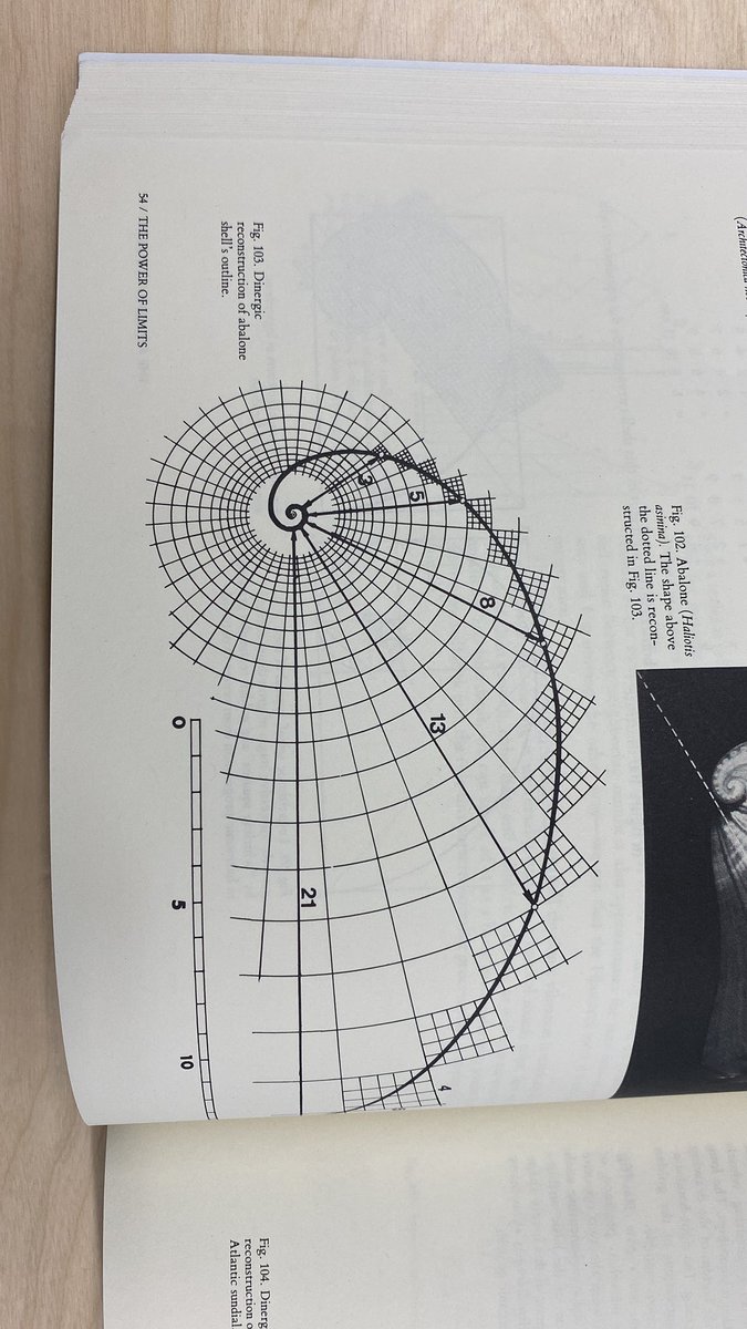 GM🌞 Today’s studio research for our next generative release from the book “the power of limits” by Gyorgy Doczi #generative #creativecoding