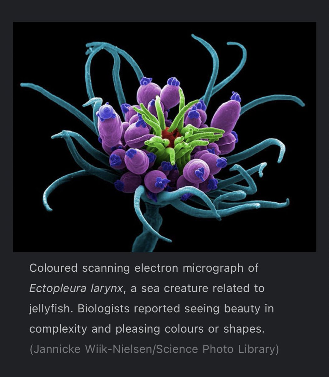 Nathan Benaich tweet media