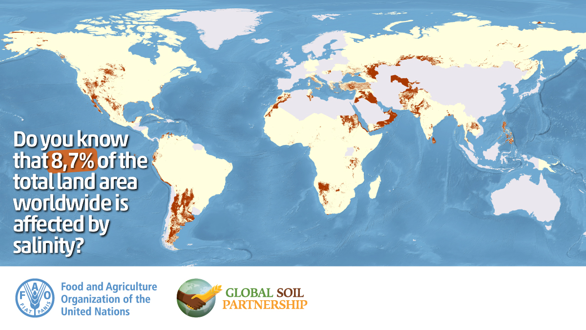 UNDRR's tweet photo. Land degradation is a risk driver ⬇️

#ClimateChange causes ➡️ risings seas 🌊 which lead to soil salinization  ➡️  This damages crops 🌾

@FAO  https://t.co/nrzYSK6Bxg https://t.co/gljyx39kEH