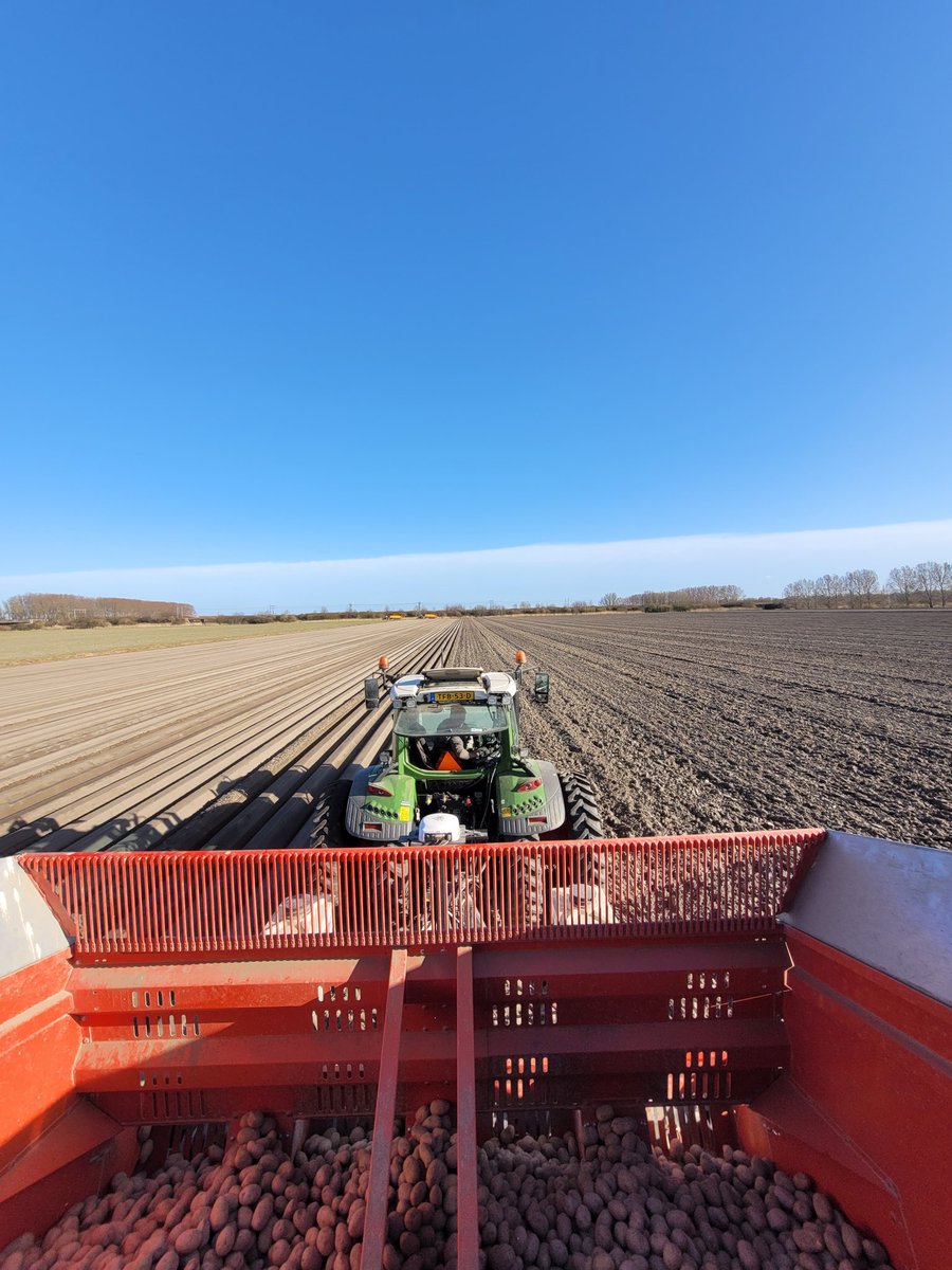 vd_knijff's tweet photo. Eerste aardappels van 2022 geplant #akker https://t.co/Jjmnohco7b