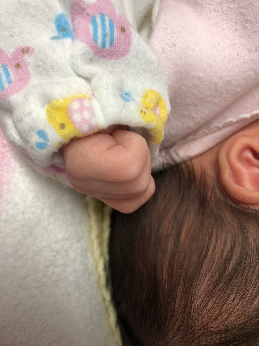 miccherururu1's tweet photo. 報告遅れましたが、、、
無事元気な女の子が3月17日にうまれました！！！

姉ちゃんもイヤイヤ気MAXで色々とあたふたしてます(´･ω･`)w
そしてお祝いの数々、、、本当にありがとうございます❤️ https://t.co/7ajKaLjCpA