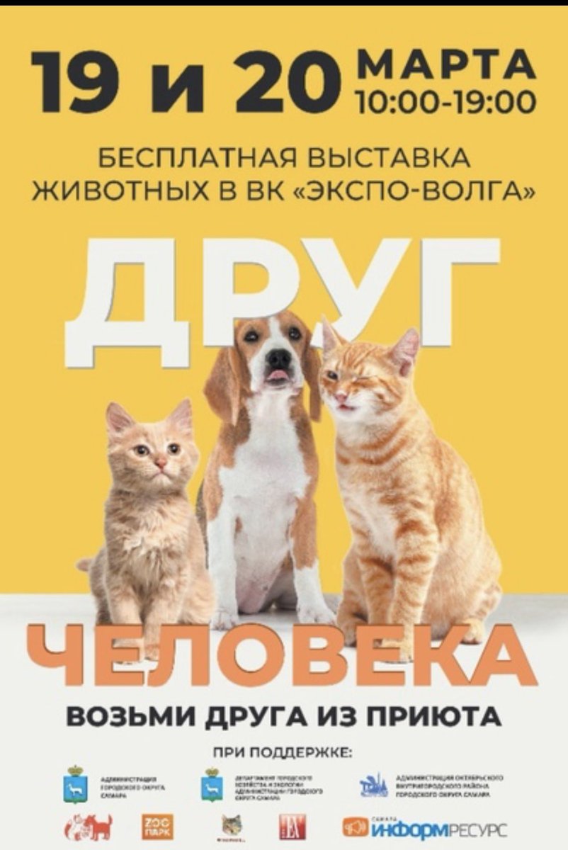 Сегодня и завтра, в Экспо-Волге. Кошки, собаки, кролики, мышки, хомячки. Плюс полезно-развлекательная программа и продажа товаров для животных.