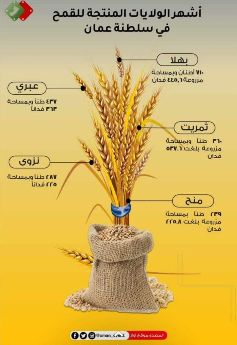 AlrabieiHumaid's tweet photo. اشهر الولايات في سلطنة عمان انتاجا للقمح نسأل الله دوام النعمة واخر دعوانا ان الحمد لله رب العالمين https://t.co/gbVxuhtfPb