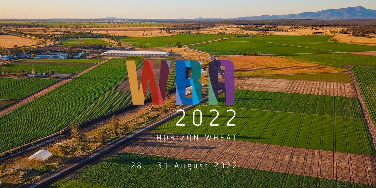 Wheat Breeding Assembly #WBA2022 call for abstracts is open until March 24!  Join our program here: eventstudio.eventsair.com/wba-2022/call-…