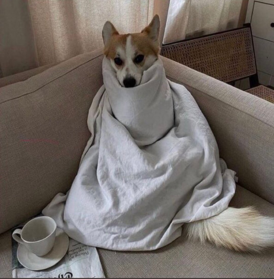 -Eylül; Bugün erken kalkıp verimli bir gün geçireyim...

+ Bütün gün Eylül;