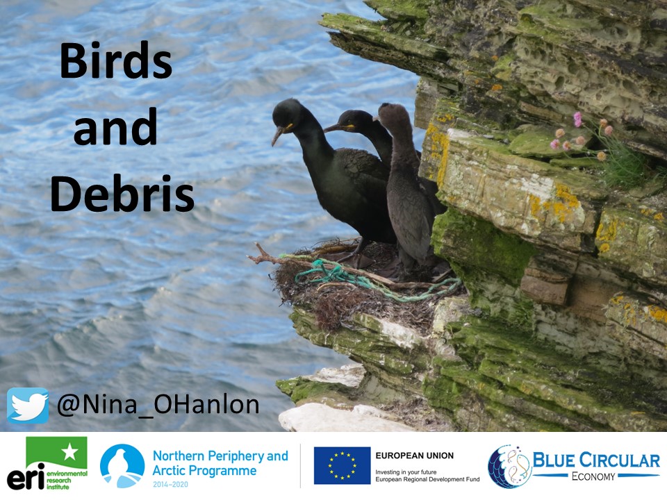 Nina_OHanlon (@nina_ohanlon) on Twitter photo Last practice of my talk for today's <a href="/ScottishBirding/">The SOC</a> / <a href="/BTO_Scotland/">BTO Scotland</a> Birdwatchers' Conference. Looking forward to seeing people in person!
#scotbirdconf
<a href="/BirdsDebris/">Birds & Debris</a> <a href="/BlueCircular/">Blue Circular Economy</a> Last practice of my talk for today's <a href="/ScottishBirding/">The SOC</a> / <a href="/BTO_Scotland/">BTO Scotland</a> Birdwatchers' Conference. Looking forward to seeing people in person!
#scotbirdconf
<a href="/BirdsDebris/">Birds & Debris</a> <a href="/BlueCircular/">Blue Circular Economy</a>