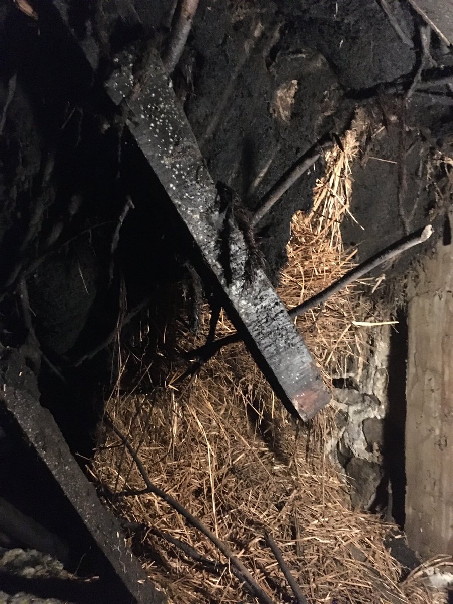 thatchertaggart's tweet photo. A genuine Irish Bog Oak thatched Scraugh/Sod roof, damaged due to the lack of a thatching specification by @CommunitiesNI Historic Environment Division. The purlins at one gable have rotted away &amp; collapsed, there should be a sign saying “enter only,with brave utensils” #scraw https://t.co/CmF4oMdHHL