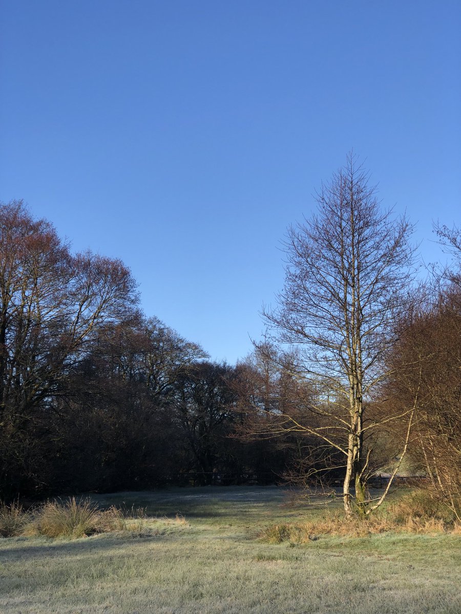 wildaboutexmoor's tweet photo. Bin a bit rubbish on soc media lately, sorry! Here are some photos of our lovely #exmoor ….. still the best place in the world to live! Xx #nationalpark ⁦@ExmoorNP⁩ ⁦@visitexmoor⁩ ⁦@VisitSomerset⁩ ⁦@ExmoorMagazine⁩ https://t.co/asveU09DMr