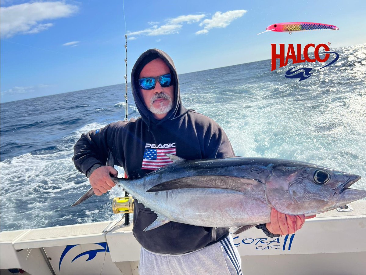 AZTradingSports's tweet photo. Una nueva jornada a bordo del @albakoracat  con nuestro Pro staff Tini , es sinónimo de entretenimiento y peces .  Los señuelos halco dan buena cuenta de los túnidos.

#halcotackle   #aztrading_fishing  #natura
             
                             https://t.co/cYmnjZK0B5 https://t.co/ce32OYRVVS