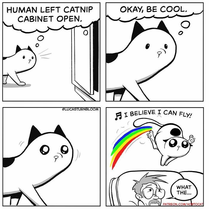 When the #MeowieWowwie hits...

#caturday #cats #catlover #meow #caturdayfurrends #catderps #howtocat