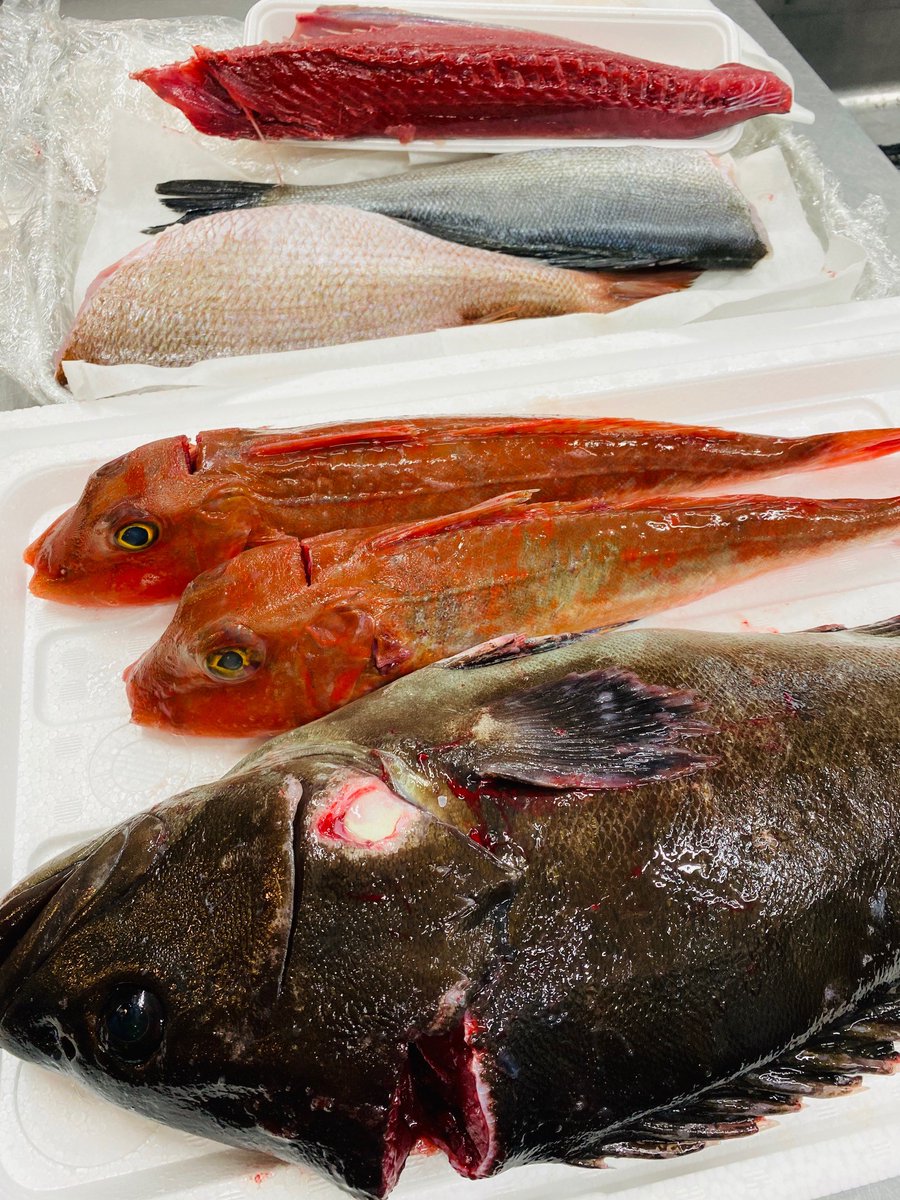 C4av2yn3yrbsm C4av2yn3yrbsm